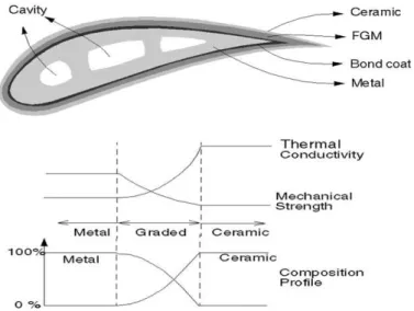 Figure I.9 : Propriétés matérielles des aubes de turbine contenant des FGM [105] 