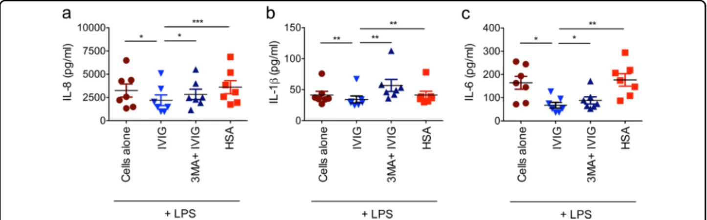 Fig. 7 Induction of autophagy is critical for the anti-in ﬂ ammatory actions of IVIG. LPS-stimulated DCs were pretreated with 3MA followed by culture with IVIG (25 mg/ml) for 24 h
