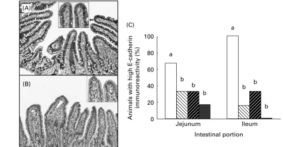 Fig. 5. Effect of individual and combined deoxynivalenol (DON) and fumonisins (FB) exposure on the intestinal expression of E-cadherin