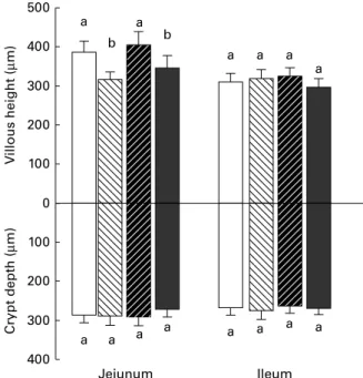 Fig. 2. Effect of individual and combined deoxynivalenol (DON) and fumoni- fumoni-sins (FB) exposure on jejunum and ileum villi height and crypt depth