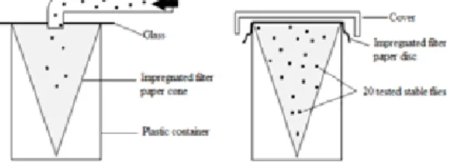 Figure 2. The mortality rates for the two strains of  blood-engorged S. calcitrans after one hour  con-tact with deltamethrin residues on filter papers