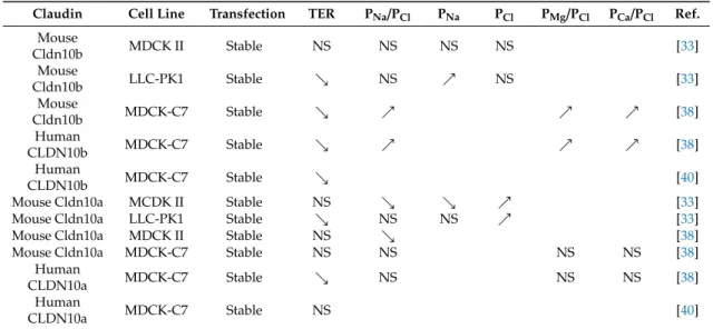 Table 3. Function of claudin 10b according to heterologous expression studies in cell lines.