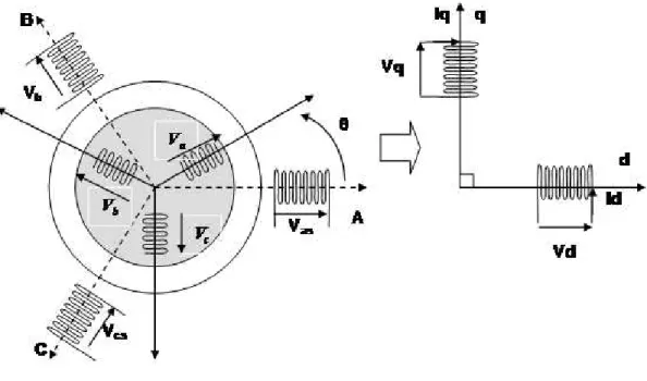 FIG. 2.3 PRINCIPE DE LA TRANSFORMATION DE PARK APPLIQUEE A LA DFIG 