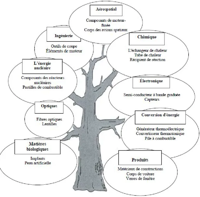 Figure I.4 : Les principaux domaines d’application des FGM.