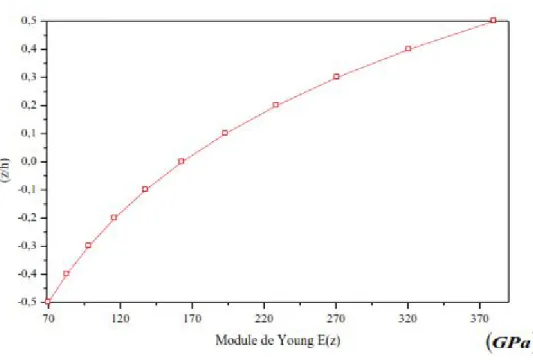 Figure I.8 : Variation du module de Young dans une plaque  E-FGM.