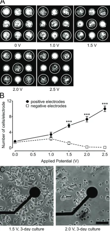 Fig. 3 Influence of applied potential on cell-coverage of electrodes.