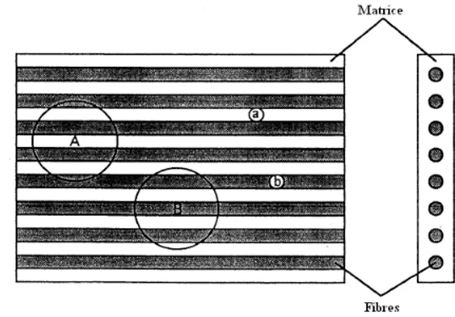 Fig. 1.2 – Observations macroscopiques (A,B) et microscopiques (a,b) pour une couche unidirectionnelle.