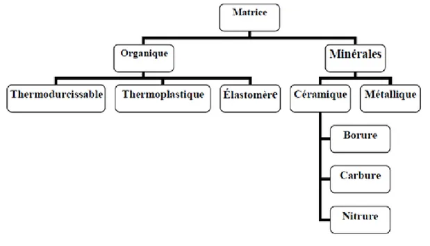 Fig. 1.4 – Différentes familles des matrices.