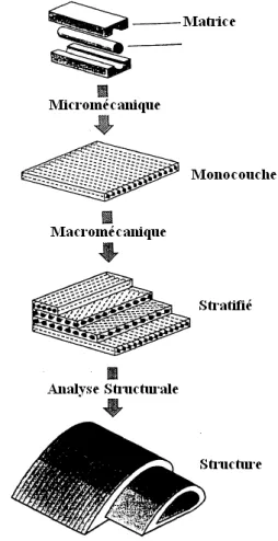 Fig. 1.9 – Différents starges d’observation et types d’analyse d’un matériau composite Au niveau du constituant l’échelle d’observation est de l’ordre du diamètre des fibres, la taille des particules, ou des interstices de la matrice entre les renforts