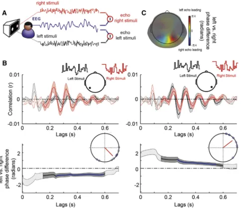 Figure 2. Spatial Propagation of Perceptual Echoes in the Visual Domain (Phase  Differ-ences between Screen Locations) (A) In experiment 2, two independent random white-noise luminance sequences were presented to the participants while EEG was simultaneous