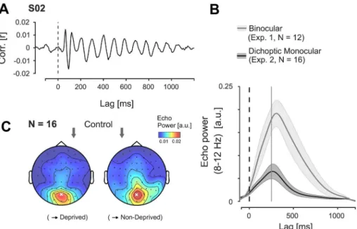 Figure 6. Echo responses in experiment 2. (A) Example of a monocular IRF in one observer (measured at electrode POz)