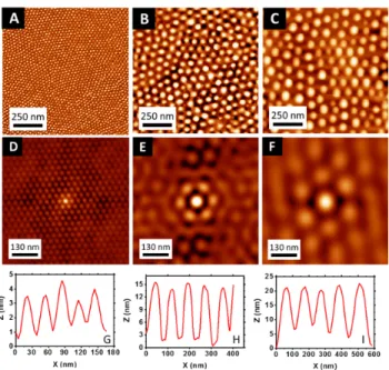 FIG. 4: AFM topographical images (top) and 2D autocorrelation function images (middle) of the Au NPs