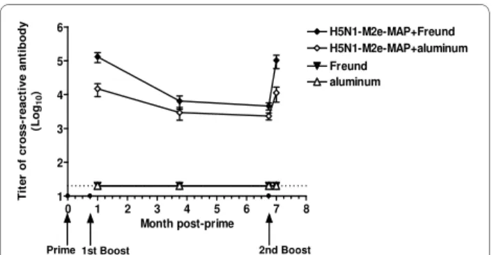 Figure 2 Cross-reactivity of H5N1-M2e-MAP-induced antibody  against H1N1-M2e peptide. Mice were primed and boosted with  H5N1-M2e-MAP vaccine and sera were collected as described in  Mate-rials and Methods to detect cross-reactivity against H1N1-M2e by  EL