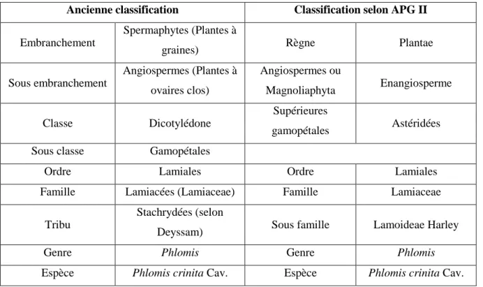 Tableau n 5 : la différence entre l’ancienne classification et la classification APG II