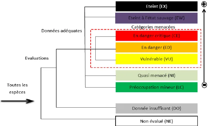 Figure n° 8 : Présentation des catégories de l’UICN utilisées à une échelle régionale (d’après  les guides UICN, 2001 et 2003)