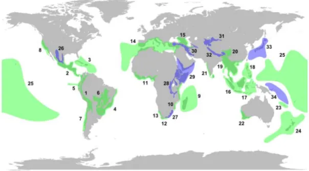 Figure n° 9 : Les 34 points chauds de la biodiversité (International conservation, 2000)  1I.8.2- Les hots pots méditerranéens  