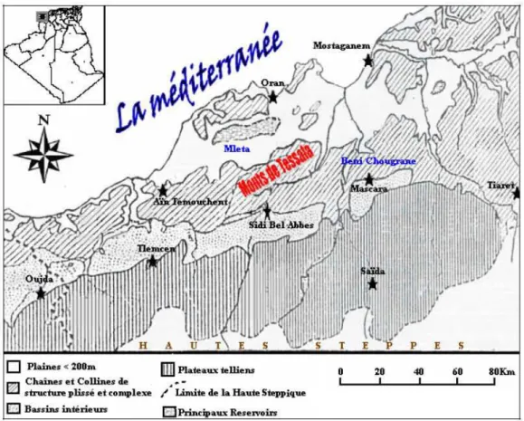 Figure n° 11 : Carte de localisation de la commune de Tessala dans l’ouest Algérien (Kieken,  1962) 