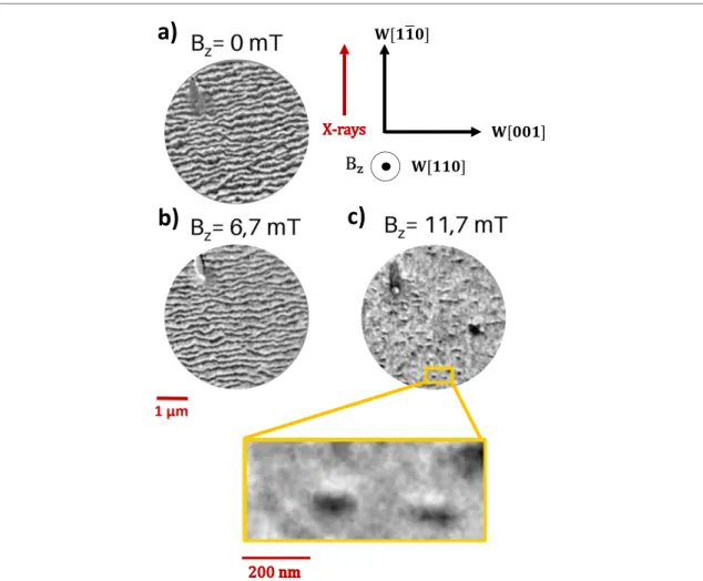 Figure 6. XMCD-PEEM images with the x-rays along W[ ¯ 110], at the same position but at different perpendicularly applied magnetic ﬁelds
