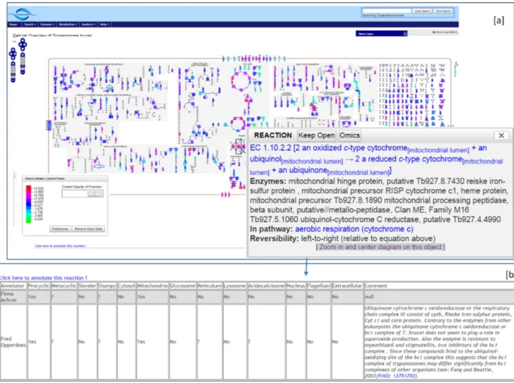 Figure 2. Proteomics data loaded in TrypanoCyc using the cellular overview tool. (a) The diagram shows all the metabolic pathways in gray boxes
