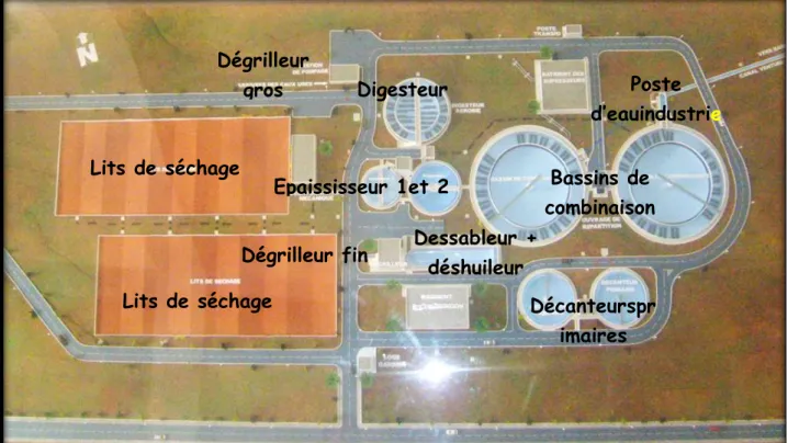 Figure 14 : Maquette de la STEP de la Ville de Tiaret  Bassins de combinaisonDécanteursprimairesLits de séchageDégrilleurgrosDigesteurEpaississeur 1et 2