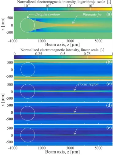 Figure 2 : Intensité du champ proche électromagnétique - (a) calcul direct avec la TLM; 