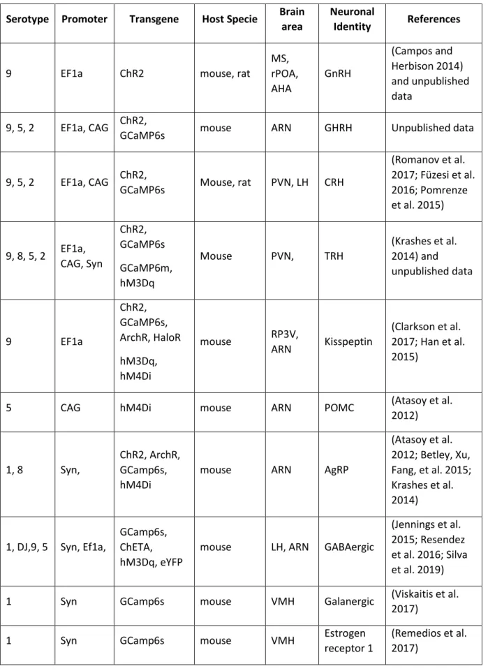 Table 1: Virus database for the transfection of hypothalamic neurons. 