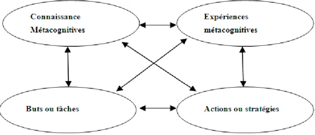 Figure : Les composantes de l’activité métacognitives (Flavell (1979)in Sagnier, op.c :56)  Ce  schéma  facilite  la  compréhension  du  modèle  de  Flavell  mais  il  n’illustre  pas  la  complexité  du  phénomène,  ni  de  la  dynamique  des  interaction