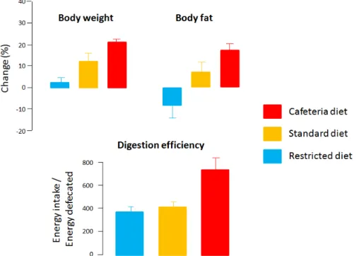 Figure 2 : Evolution du poids, de la masse grasse et de la digestibilité chez le rat après 3 semaines d'un régime  restreint, standard ou à volonté et varié (cafeteria)