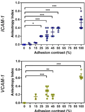 Fig.  3 :  Integrin-mediated  haptotaxis  increases  with  adhesion  contrast.  Anisotropy  index  versus  adhesion contrast of ICAM-1 (blue) and VCAM-1 (green) substrates