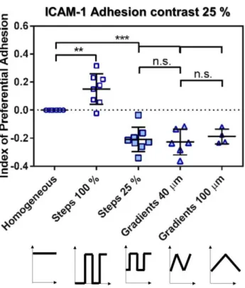 Fig. 7: Reverse haptotaxis on ICAM-1 exists for different steepness of gradients. IPA for homogeneous  substrates (round dots), for adhesion/non adhesion assay or steps with 100% adhesion contrast (hollow  square dots), and for haptotaxis assays with const