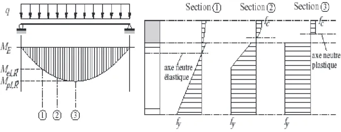 Fig. 2.1  Distribution des contraintes dans une section mixte. [28] 