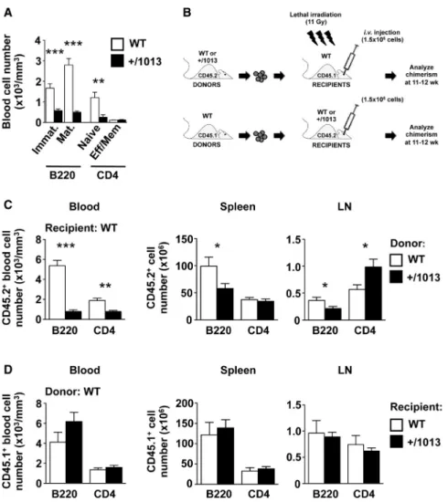 Figure 1. Lymphocyte-Autonomous Defects Lead to Lymphopenia in Cxcr4 +/1013 Mice (A) Quantifications of naive (CD44 – CD62L high ) and effector/memory (Eff/Mem, CD44 high ) CD4 + T cells, immature (Immat., B220 + IgM high CD21 low ) and mature (Mat., B220 