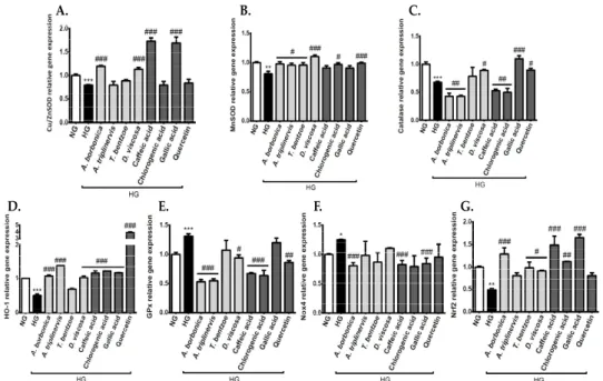 Figure 4. Effect of polyphenols on the expression of genes encoding redox enzymes and nuclear  factor erythroid 2-related factor 2 (Nrf2) transcription factor on cerebral endothelial cells in  hyperglycemic condition