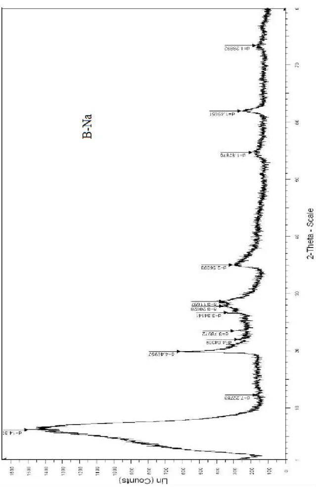Figure III.9 : Spectre de Diffraction des Rayons X de la bentonite purifiée et sodée (B-Na)