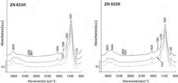 Fig. 3. FTIR spectra of natural zeolite (NZ): (A) out-gassed at 623 K; (B) out-gassed at 823 K