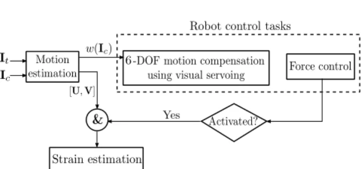 Fig. 1: Proposed methodology to obtain the strain map of a moving tissue.