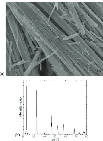 Figure 1. (a) Scanning electron microscopy (SEM) image of the as-prepared NN NWs and (b) XRD spectra of one set of NN NWs measured at room temperature.
