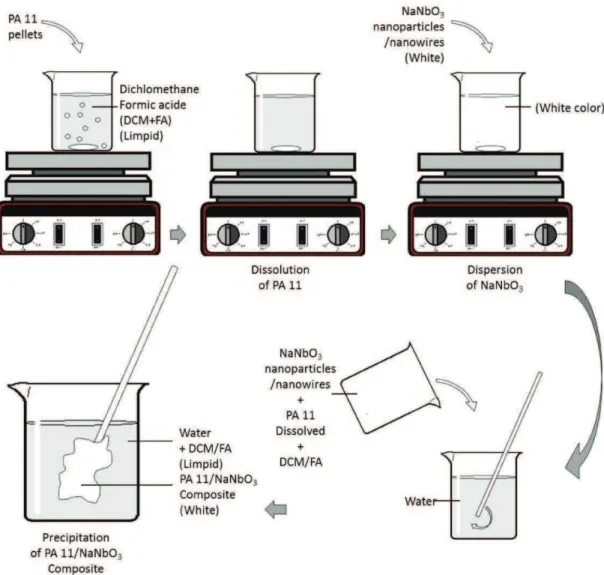 Figure 2. Schematic process of the elaboration of PA 11/NN composites.