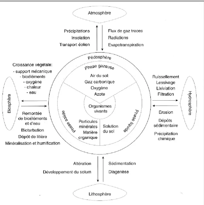 Figure 1 : Le positionnement et la complexité externe et interne du sol (Gobat et al., 2003)