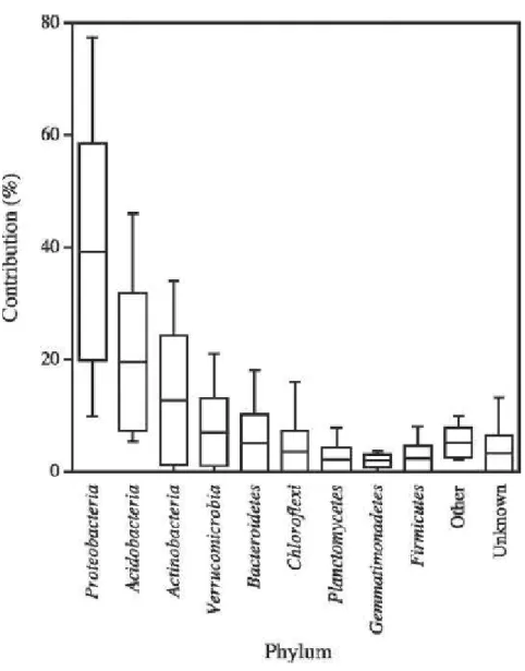 Figure 5 : Contribution des séquences d’ARNr 16S bactériens aux phylums les mieux  représentés dans le sol