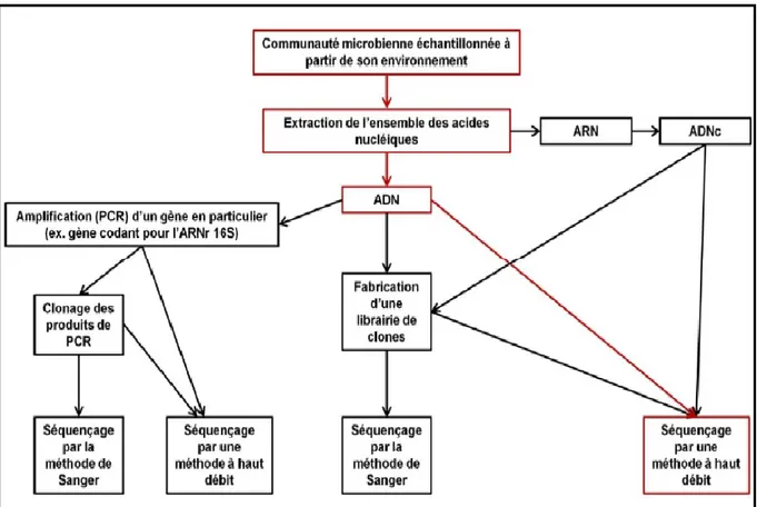 Figure 7 : Schématisation de plusieurs méthodologies courantes dans une analyse 