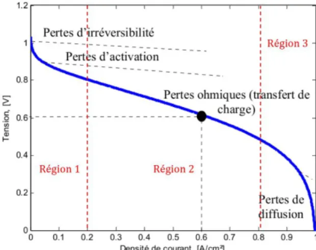 Figure 2.2: Caract´eristique statique d’une cellule de PAC [40]