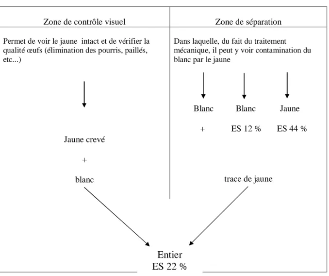 Figure N° 08 : Méthode de séparation du blanc et du jaune  (Gounand P, 1988)