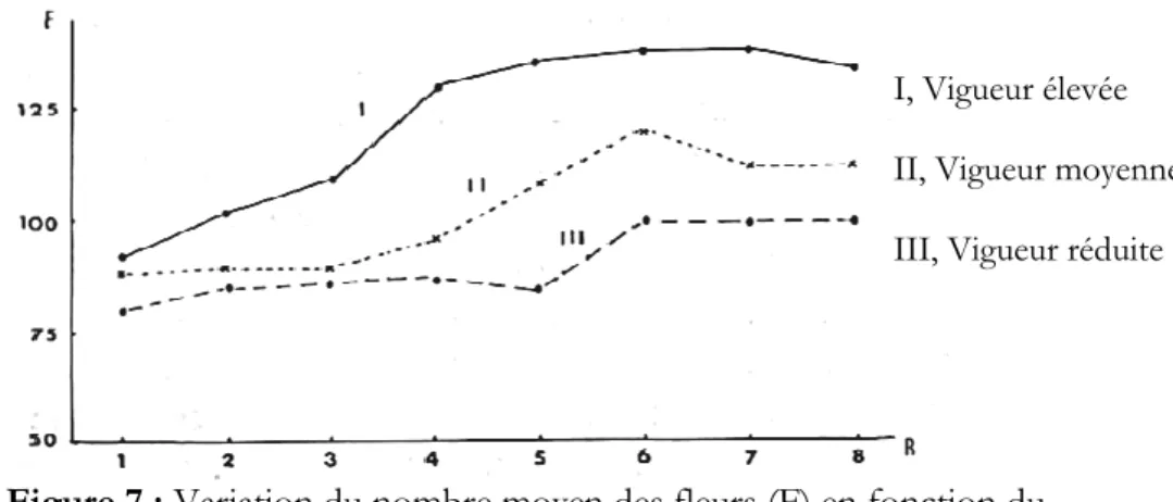 Figure 7 : Variation du nombre moyen des fleurs (F) en fonction du  rang d’insertion (R) des bourgeons sur sarments de vigueur donnée 
