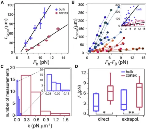 FIGURE 3 Short-term viscoelastic deformation of the membrane tube as a function of pulling force