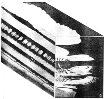 Figure I.17 : Visualisation des flux de matière à travers un joint soudé entre une tôle d’alliage 2024  (blanche) et une tôle d’alliage 6061, [23]