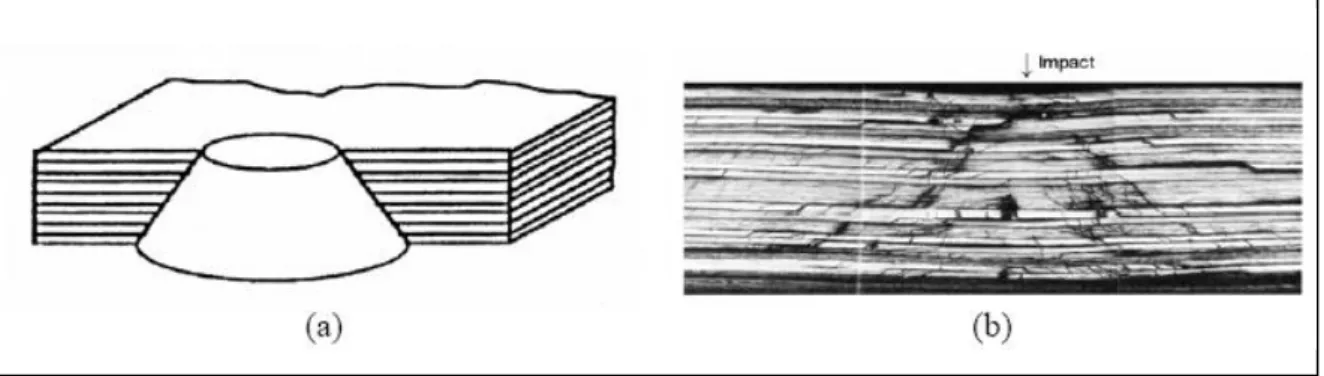 Figure 1.15 : Schéma d’une zone endommagée par impact (a) Enveloppe conique de dommage