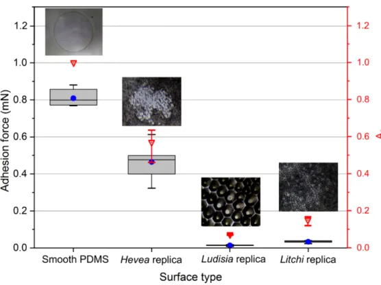 Figure  11.  Overall  comparison  of  adhesion  pull-off  force  (F ad )  and  normalized  contact  area  (A n )  obtained  for  the  four  surfaces  investigated,  at  a  pre-load  of  1.5  mN