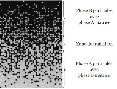 Figure I.1 : Matériaux FGM avec des fractions volumiques des phases constitutives graduées  [Yin et al (2004)]