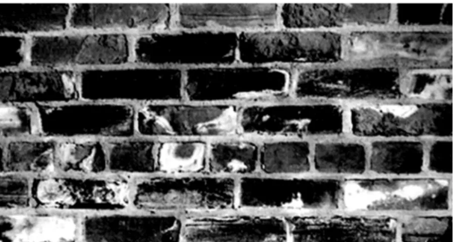 Figure  1.  A wall  built  of bricks  recovered  from the  demolition  of  old  buildings  damaged  after  one year of service by the spalling of many bricks and marked by efflorescence.